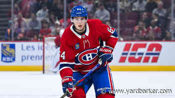 CH Prospects: David Reinbacher Ranks First Ahead of Hage, According to NHL.com