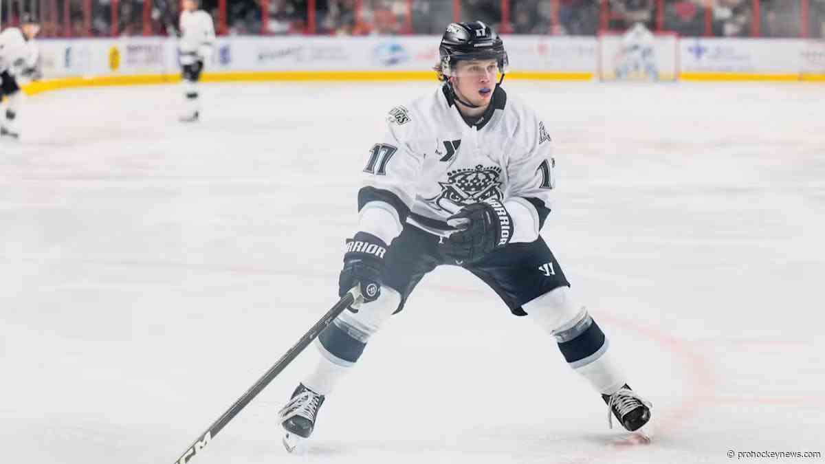 Schandor returns to Swamp Rabbits