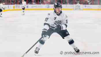 Schandor returns to Swamp Rabbits