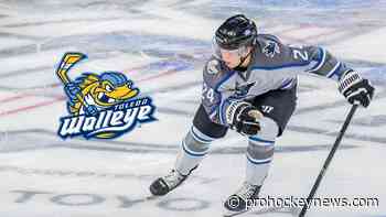 Nardecchia signs with Walleye