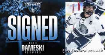 Ice Flyers Sign Forward Alex Dameski for 2026-27 Season