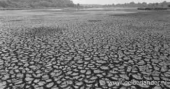 Boeren bewaken ’s nachts hun sproeiers, het leger rukt uit: hoe extreem de zomer van 1976 écht was