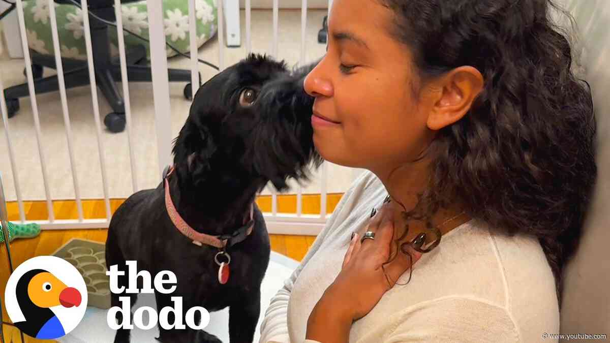 Terrified Foster Dog Finally Takes His First Step Outside | The Dodo