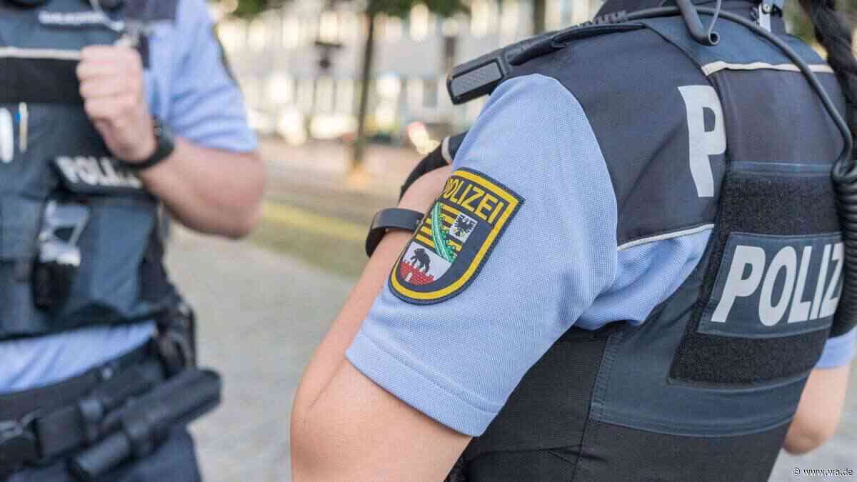 Griff AfD-Abgeordneter zum Baseballschläger? Attacke auf Jugendlichen erschüttert Sachsen-Anhalt