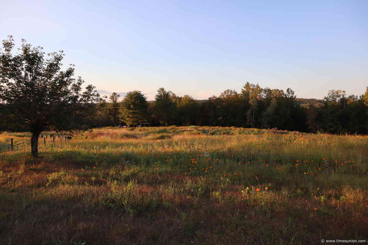 Hudson Valley’s Forge Project links Indigenous land stewardship with art preservation