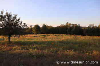 Hudson Valley’s Forge Project links Indigenous land stewardship with art preservation