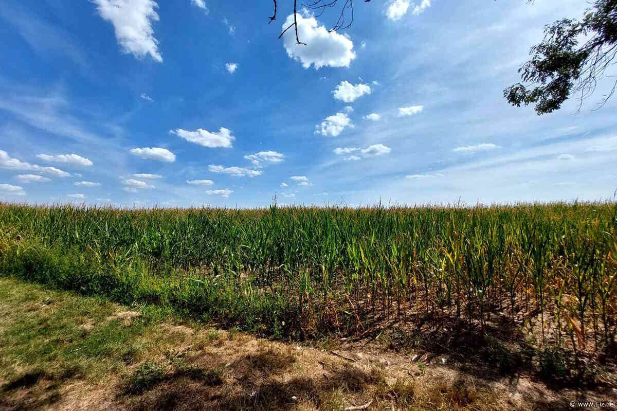 Dürre setzt Höfe enorm unter Druck: Wirksamer Klimaschutz ist Schutz der Ernte