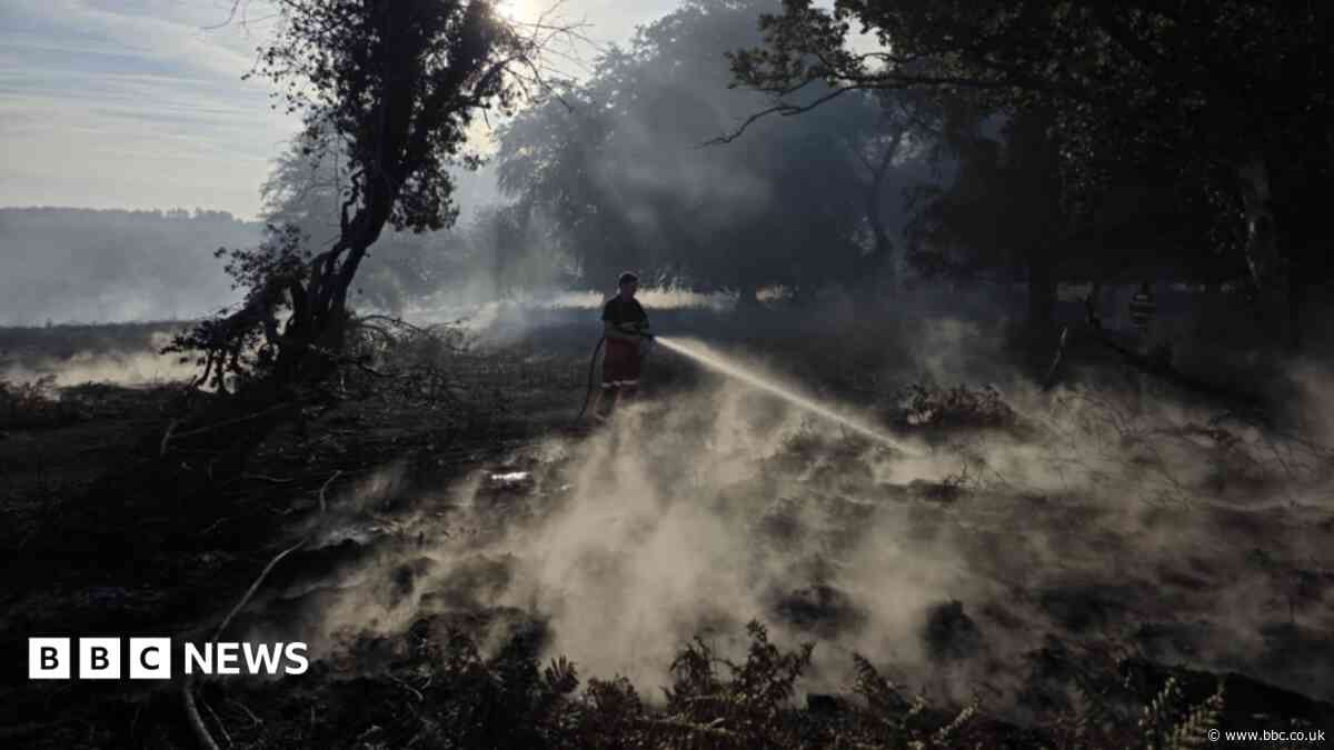 Public urged to avoid 'surrounded' New Forest fire site