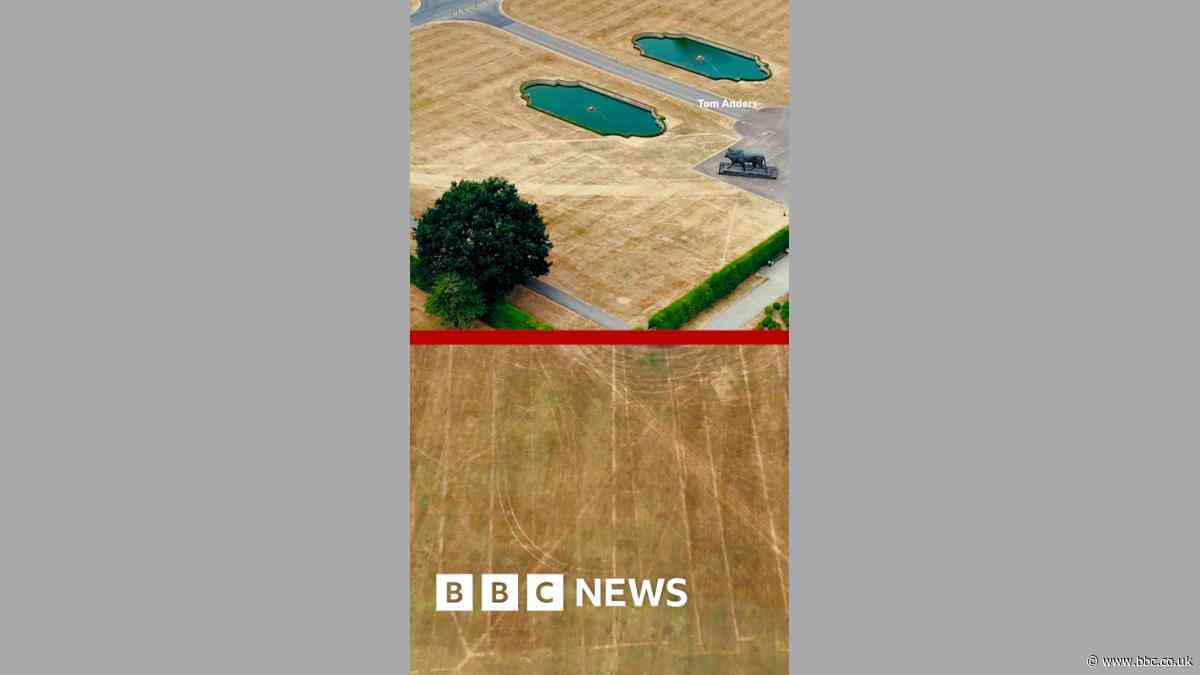 How the heatwave has revealed lost gardens