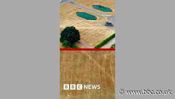 How the heatwave has revealed lost gardens
