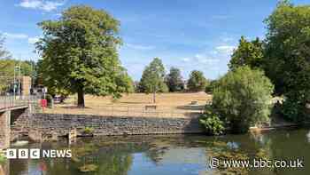 Elderly woman seriously injured in park dog attack
