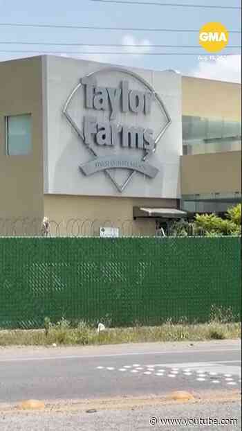 FDA begins inspections at Taylor Farms