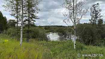 City of Red Deer secures Michener North lands, potential spot for Indigenous cultural centre
