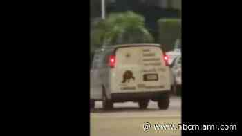 Arrest made after woman heard screaming inside van driving recklessly in Hialeah, police say