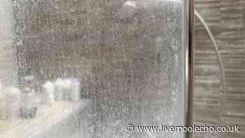 Shower glass stays clean with no watermarks if cleaned with 'absolutely brilliant' item