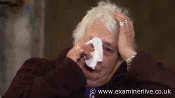 Yorkshire Vet favourites break down in tears after tough decision 'can't bear it'