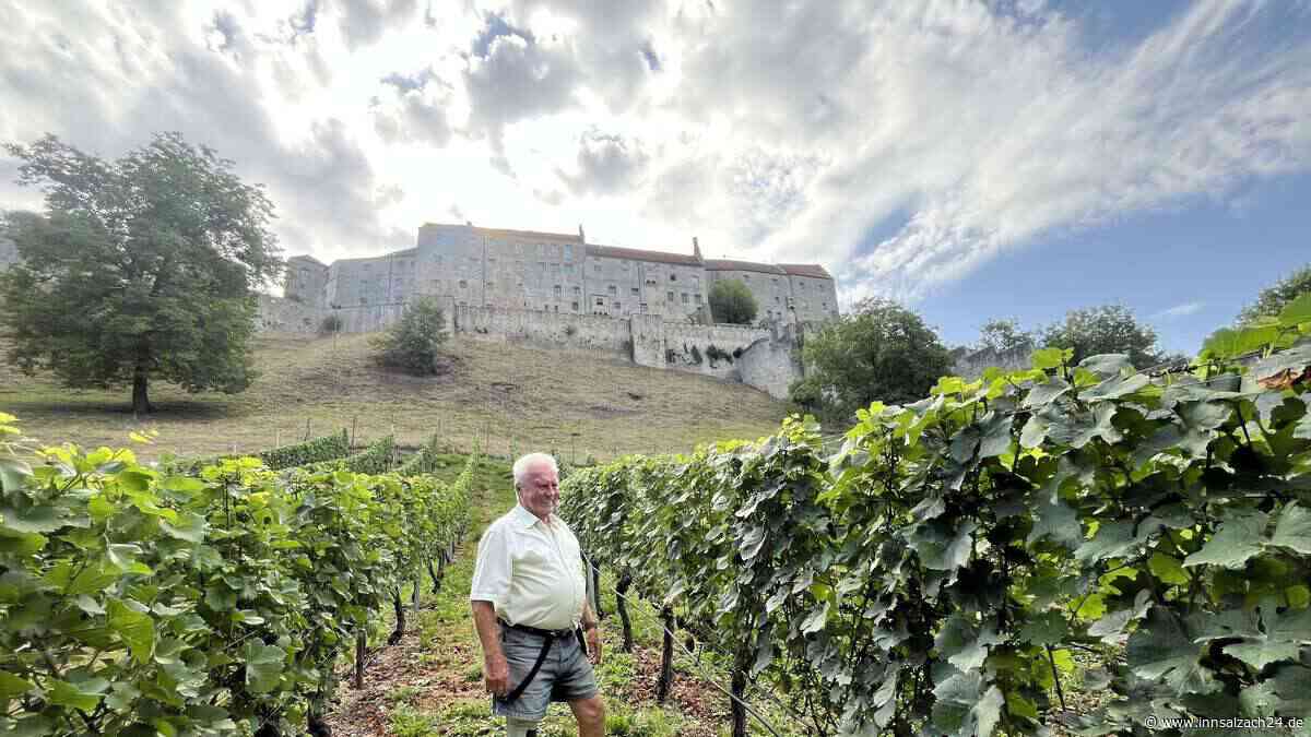 Ein Leben für die Reben: Curt Pfeifenthalers Wein holt Gold – doch verkaufen darf er ihn nicht
