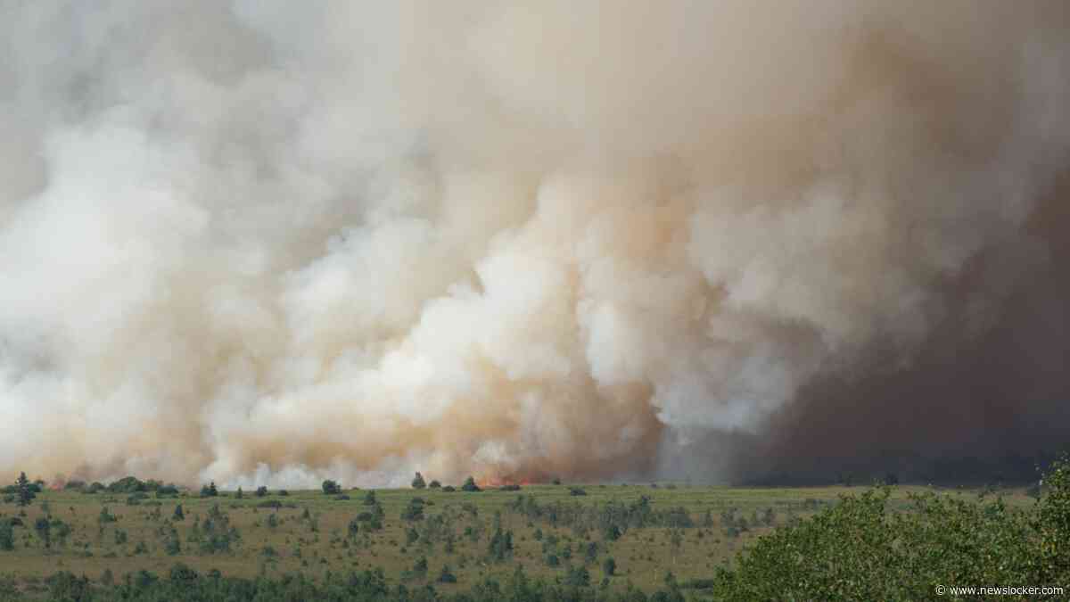 LIVE | Uitslaande brand in Hoge Venen ’ergste in Belgische geschiedenis’: provinciaal rampenplan van start