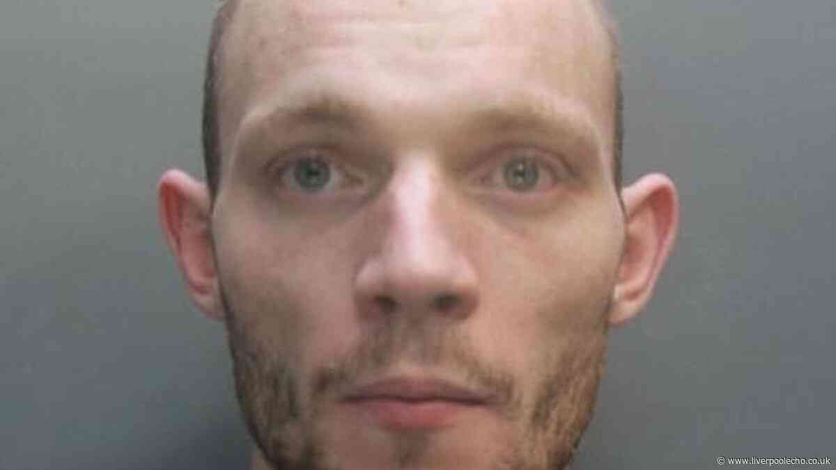 Wirral thug who accused ex of killing cat admitted 'I might have killed a dog'