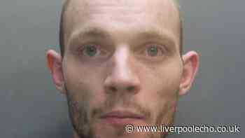 Wirral thug who accused ex of killing cat admitted 'I might have killed a dog'