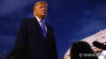 Trump targets El-Sayed, WWII Memorial vandalism in string of Truth Social posts
