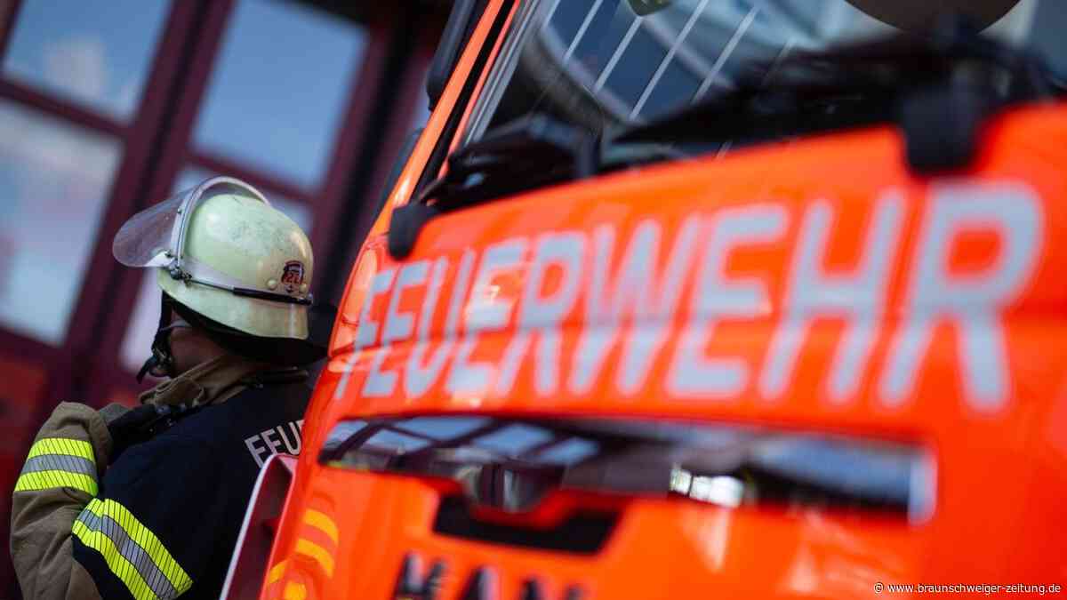 Brand bei L604: Schon wieder Feuer bei Bad Sachsa? Das ist im Südharz passiert.