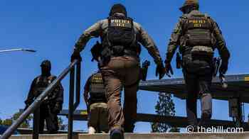 ICE purchase of electric shock gloves prompts Democratic outrage