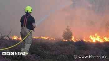 How we can all help prevent wildfires?