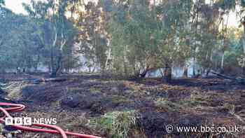MP plea as wildfire continues for seventh day