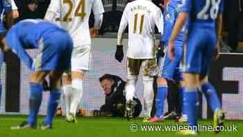 Swansea ballboy kicked by Eden Hazard set to make £100m in huge deal 13 years on