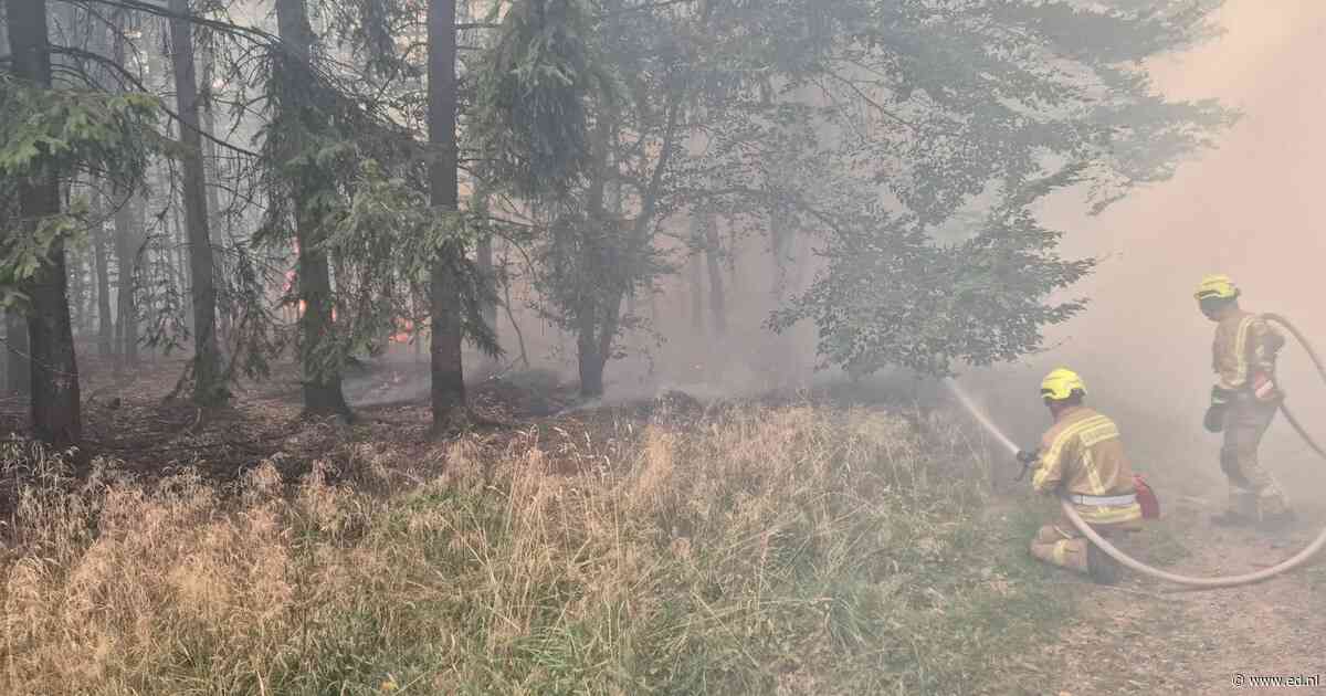 Limburgse brandweer moet na plotse winddraai vluchten voor vuurzee in Hoge Venen: “Het vuur kwam recht op onze mensen af”