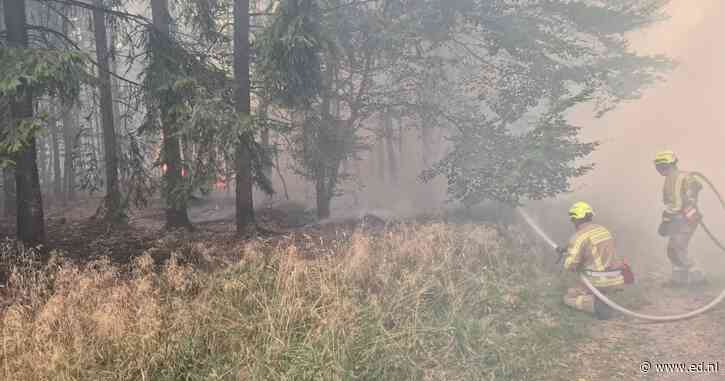 Limburgse brandweer moet na plotse winddraai vluchten voor vuurzee in Hoge Venen: “Het vuur kwam recht op onze mensen af”