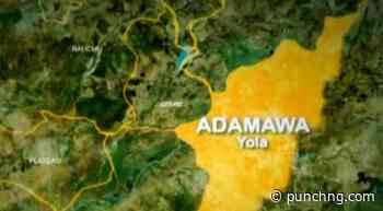 Police nab 27-year-old over fatal hotel stabbing in Adamawa