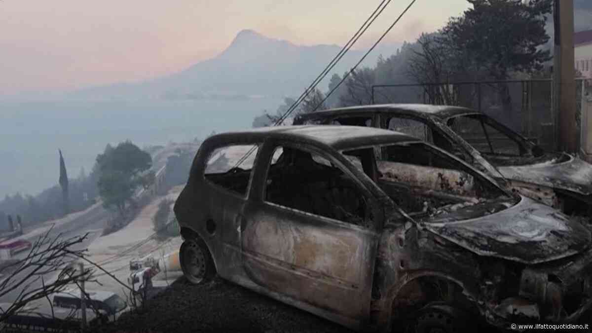 In Croazia uno dei peggiori incendi della storia. Morta una 34enne, 40 ricoverati. Turisti in fuga con pedalò e gommoni