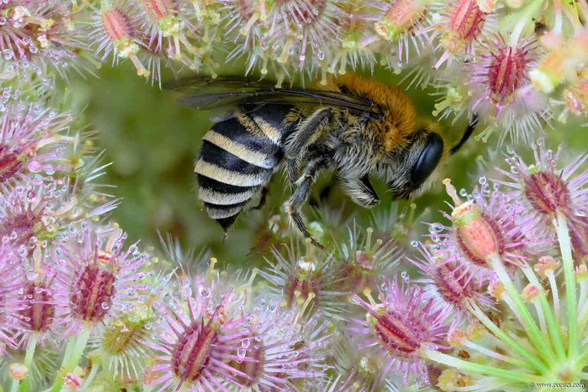 10 moving images from the International Nature Photography Festival