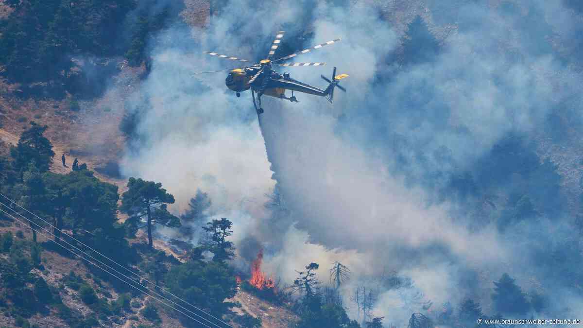 Kardiologe klärt auf: Darum kann Waldbrandrauch dem Herzen schaden