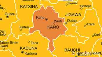 Police intercept illegal arms, arrest suspected robbers, cattle thieves in Kano
