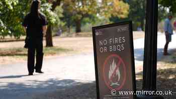 Amazon and eBay remove disposable BBQs after Mirror finds them for sale despite PM's ban