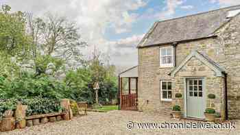 'Perfect' holiday cottage in pint-sized picturesque Northumberland village
