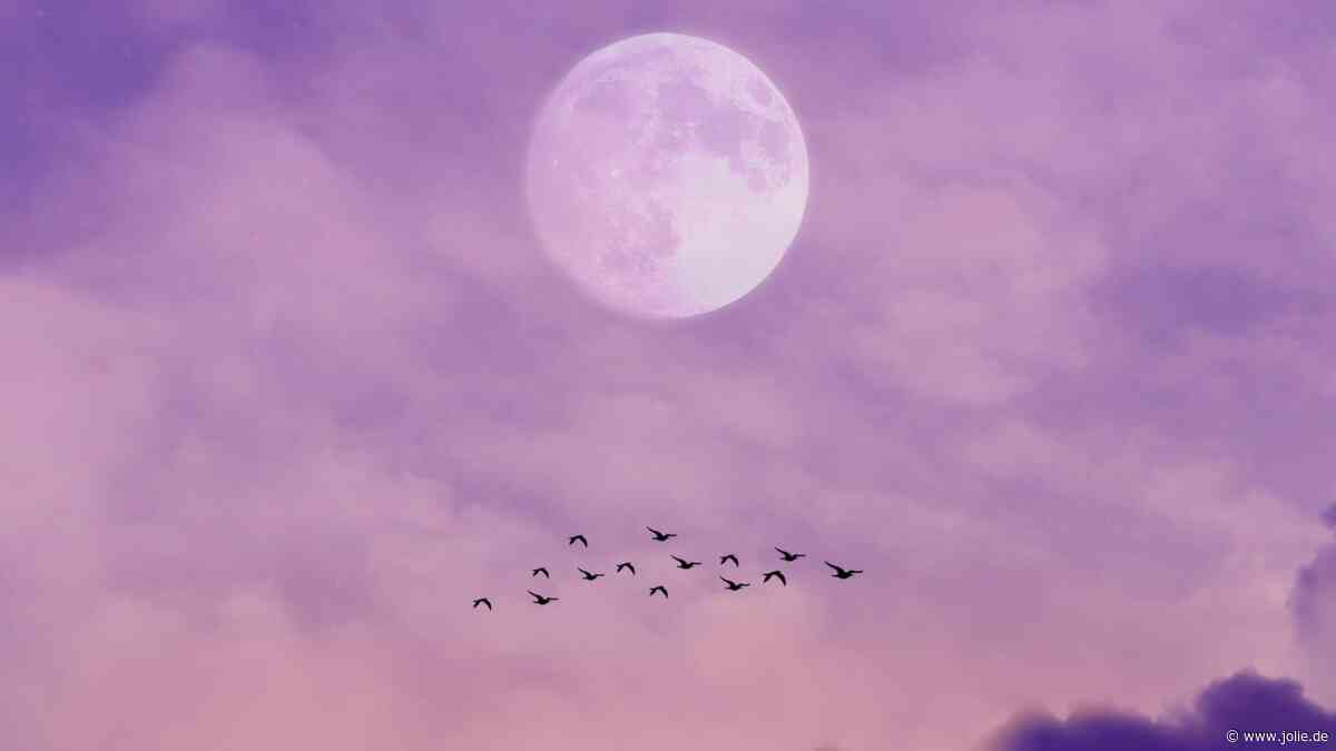Horoskop: 3 Sternzeichen erhalten jetzt eine bedeutende Botschaft aus dem Universum