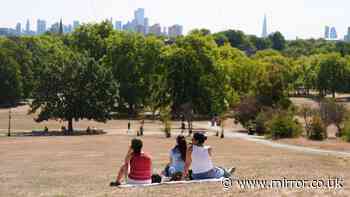 Met Office predicts 'late season heatwaves' for September in UK 'especially in the south'