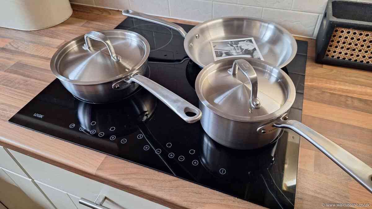 Dad swaps cheap supermarket pans for 'fabulous' set that 'makes you feel like a chef'