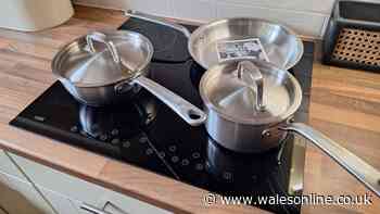 Dad swaps cheap supermarket pans for 'fabulous' set that 'makes you feel like a chef'