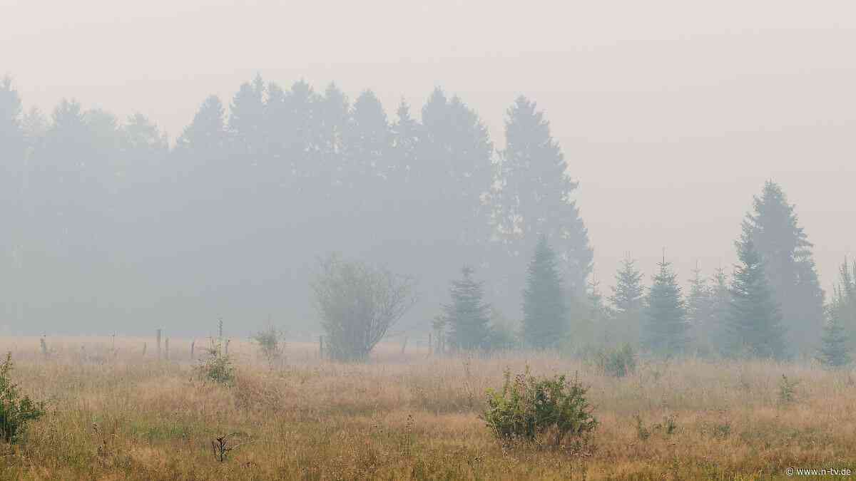 Riesiger Waldbrand in Belgien : Monschau in NRW bereitet mögliche Evakuierung vor