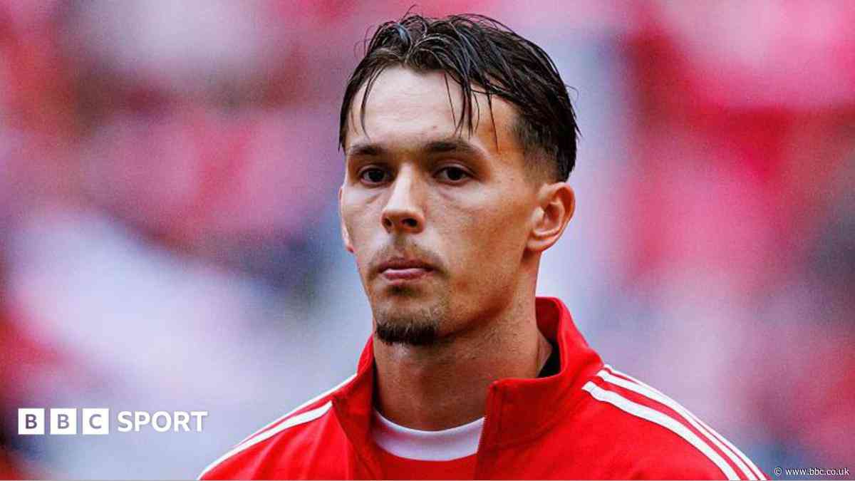 Newcastle progressing with move for Benfica defender Dedic