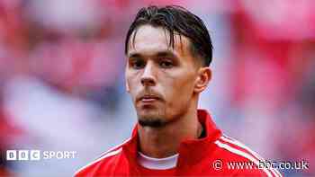 Newcastle progressing with move for Benfica defender Dedic