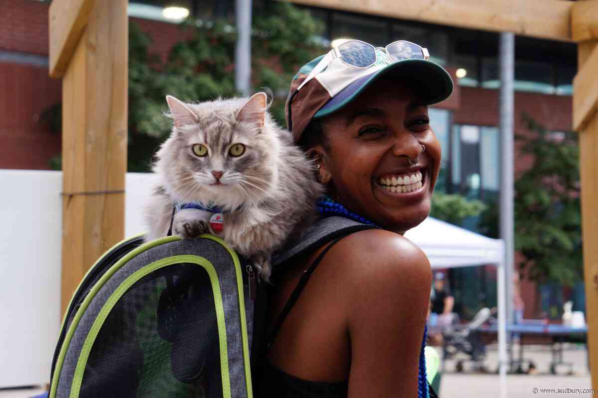 Photos: Up Here festival returns to downtown Sudbury for 12th edition