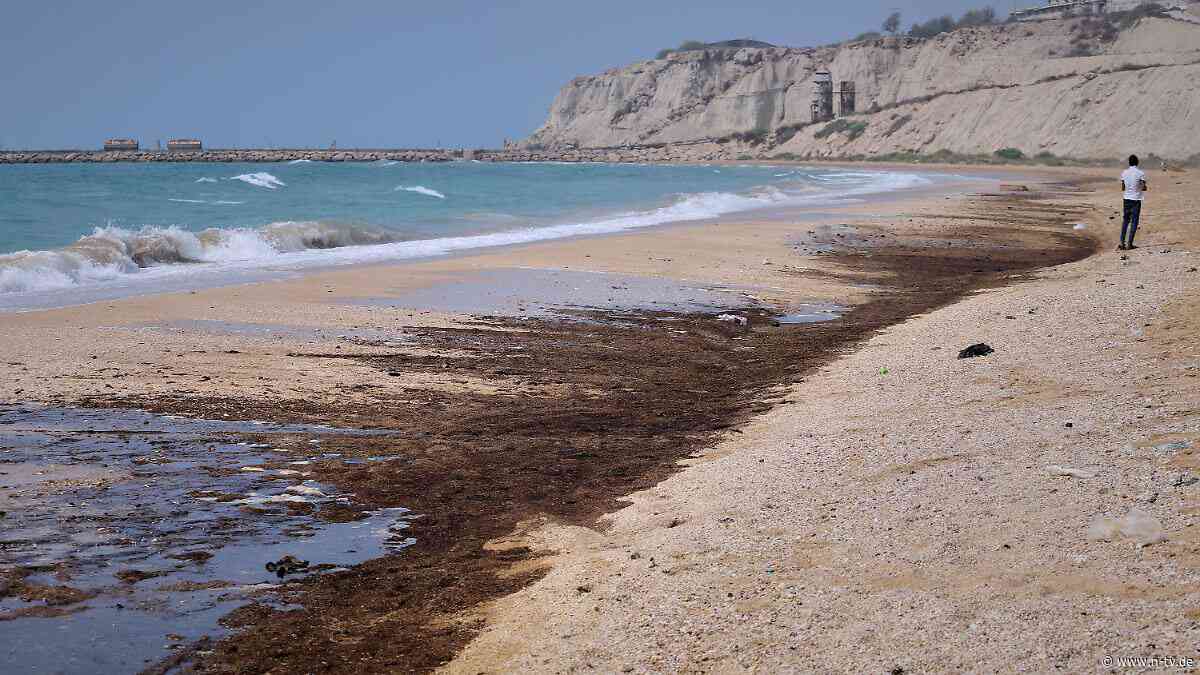 Auch Oman betroffen: Iran kämpft gegen Ölverschmutzung im Küstengebiet 
