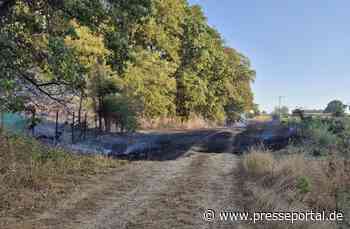 FW Sonsbeck: Waldbrand in Labbeck