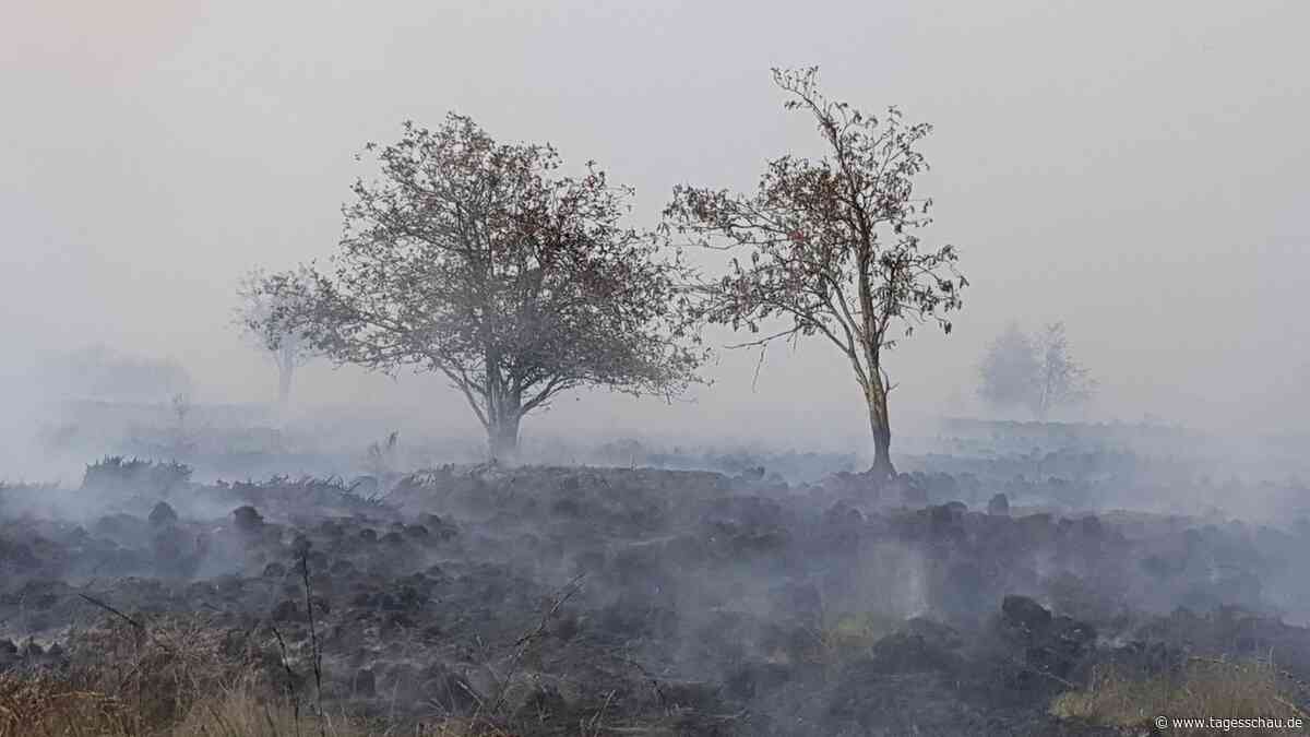 Waldbrand im Hohen Venn: Sorge in Grenzregion wegen Feuer in Belgien